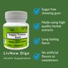 livNow Dige | Sugar Free Chewing Gum | contains Ajwain, Jeera, Fennel Extracts | for Digestive Health | Mini-Bottle (12 units) | Pack of 2 view 2