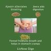 livNow Dige | Sugar Free Chewing Gum | contains Ajwain, Jeera, Fennel Extracts | for Digestive Health | Mini-Bottle (12 units) | Pack of 2 view 3
