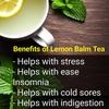 Asian Herbs Herbal Tea Combo - 3 in 1 Combo of Ginger Green Tea 30 Tea Bags, Kashmiri Lemon Balm 30 Tea Bags, Himalayan Green Tea 30 Tea Bags | Enhance Wellness, Detox & Vitality view 3