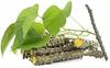 SGP Natural Giloy Neem Fresh Plant Stems Sticks Bel (9-inch) Set of 12 view 1