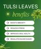 Aathirai Dried Tulasi Tea Leaves - 25 GMs | Holy Basil Leaves Tea | 100% Natural Tulsi Green Tea | Natural Flavours | Vitamin C enriched tea leaves | Natural Herbal Tea view 2