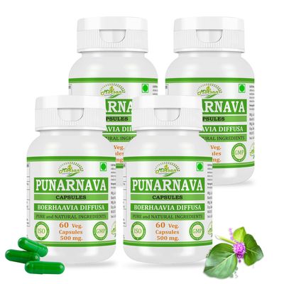 Morsan Nutraveda Punarnava (Boerhaavia Diffusa) Extract Capsule | 60 x 500 mg Veg Capsules | Supports Renal Wellness, Aids Inflammatory Balance, Promotes Natural Detox (Pack of 4)