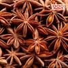 SAM Masale - Star Anise | 100% Pure Chakri Phool | Adds Rich Aroma & Flavor | No Additives or Preservatives | Ideal for Meat, Biryani, Masala Tea, Cooking, Baking and More ( Star Anise 250gm ) view 4