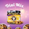 NANI KI KAHANI Natural Premium Pure Homemade Trail Mix, Daily Health Mix, Assorted Dry Fruits Nuts Seeds, Healthy Snack Reusable Jar,150 grams | Nutritious & Delicious Premium nuts Rich in Protein view 2