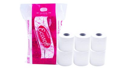 LAURELS 2 Ply Toilet Tissue Paper Roll - Pack of 6 (320 Pulls Per Toilet Roll, 3840 Sheets)