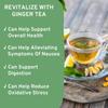 Asian Herbs Herbal Tea Combo - 3 in 1 Combo of Ginger Green Tea, Chamomile Flower Tea, Kashmiri Lemon Balm Tea | Natural Herbal Blend for Tranquility & Wellness (15 Tea Bags each) view 2