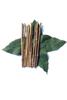 Batwas Combo-15 Bhatwas Datun,150g Bhatwas Leaves and 125g Bhatwas Roots. Herbal Blood Sugar Support Supplement and Natural Datun/Toothbrush, Clerodendrum infortunatum view 2