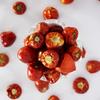 Panai - Ramnad Mundu Chilli | Boriya Red Chilli | Gol Mirchi | Geographical indication (GI) | Spicy Round Chillies | Sabut Lal Mirch, Dry Chilly, Mundu Chili, Gundu Chilli Grams (250 Grams, Kundu Chilli) view 4