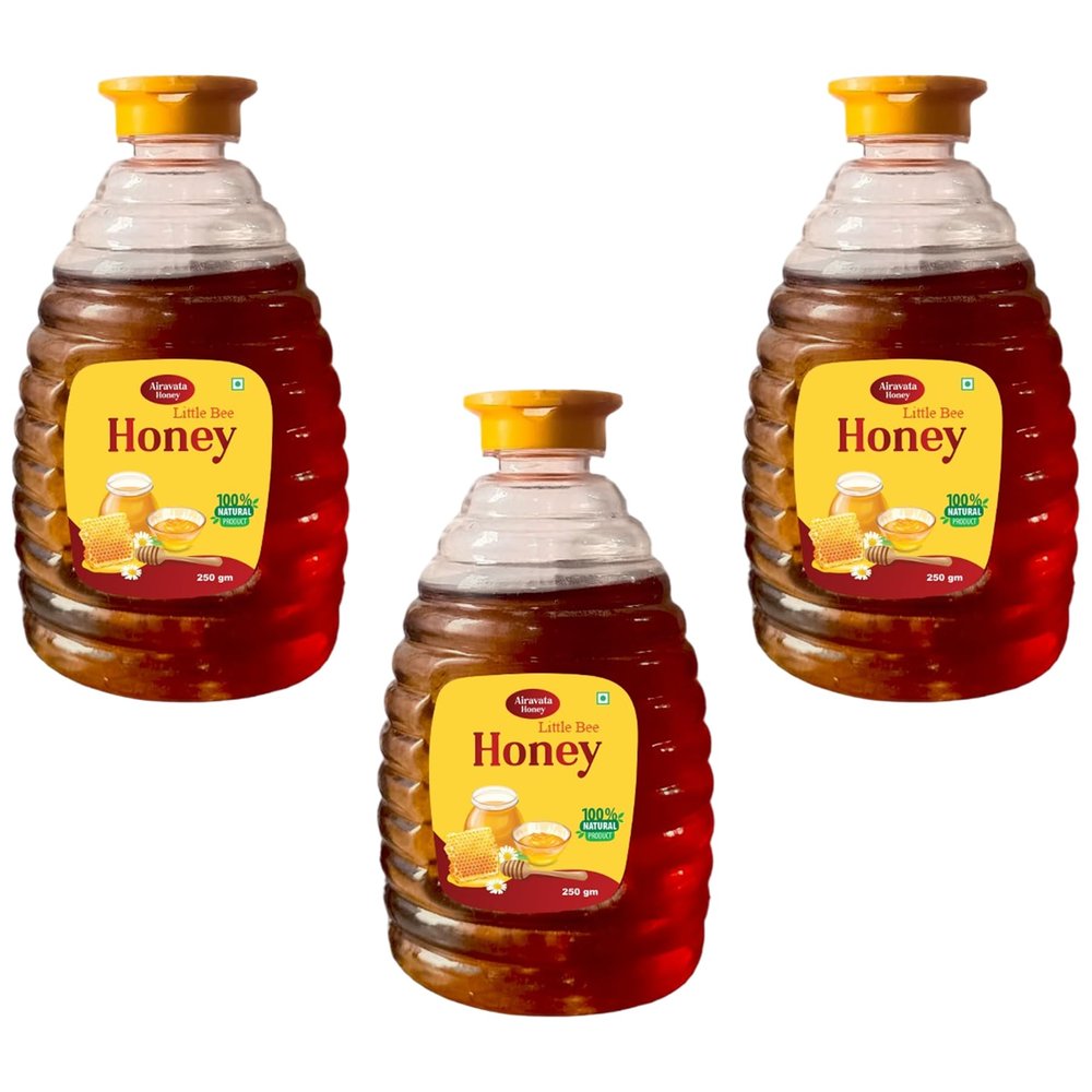 Airavata Honey 100% Pure & Natural Little Bee Honey | Raw Honey for Immune Support | Nutrient Rich Deliciously Honey | Ideal Gift for Honey Lovers (250g) Pack of 3