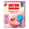 CEREGROW with NO Refined Sugar | Multigrain Cereal with Milk & Fruits | with Iron, Omega 3, Protein, Calcium | 19 Nutrients | 300g, Bag-in-Box Pack view 1