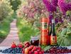 GLOBAL HEALTH POWER Mix Berry 48 Herbs Syrup, 500ml, sugar free, Strengthens Lungs, Improves Digestion, Immunity, Manages Diabetes, Balances Blood Pressure, Promotes Heart, Thyroid, Nerve Health, Relieves Joint Pain, Improves Kidney Health view 2