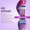 Ace Blend Hydro Hype (30 Sachets) | Energy & Blood Flow | Instant Hydration | Full-Spectrum Electrolytes | 100% Natural Beetroot Extract with Multi Vitamins & Minerals | Java Plum view 3