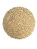 2 KG Organic Whole Wheat Gehu Wheat Whole Premium(Sabut Gehu/Gehoo/Genhu) MP Sharbati Wheat Fresh from Farms No Mixture No Preservatives Godhumai Godhambu Godhumalu Godhi Gehun Gom Gova Gahu Gahama view 1