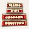 Dental Acrylic Teeth Kit 15 Size A2 Shade/Pack Of 1 Set/Acrylic Denture Teeth Set A2 (15 Size) view 1