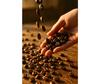 ACOMOCA Strong Coffee Beans, Medium Roast Single-Origin Arabica AAA Coffee Beans view 2