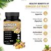 Adorreal Ginger Capsules 600mg  High Potency Ginger Root Extract for Digestion, Nausea, Joint & Immunity Support  Natural Anti-Inflammatory  60 Veg Capsules view 4