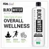 BLACKWATER Alkaline Water, 8+ pH Level, with Magnesium and Trace Minerals. ALKALINE 700ML (Pack Of 6) view 4