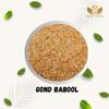 GAURVEDA Babool Gond | Gond for Laddu Making & Sweets | Edible Gum | Kikar/Gum Arabic | Pure & Natural (1 KG) view 3