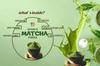Eteasy Matcha Drinking Chocolate Drink MIX No Artificial Colours No Artificial Preservatives Powder (800 Gram, Chocolate) view 4