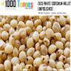 1kg Unpolished Desi White sorghum Millet (EXPORT QUALITY) White sorghum,white Cholam, Jowar, Jonna, Jola| millets | millet keeps body healthy-1000 tonnes view 3