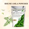 My Herbal remedies Bhumi Amla Powder 200gm | 100% Natural & Pure | Supports Liver Health, Digestion & Immunity | Rich in Antioxidants | Ideal for Daily Wellness | view 4