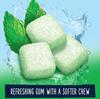 Extra Refreshers Spearmint Flavor Perfect For Freshening Breath Sugar-Free Chewing Gum 67gm view 4