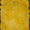 Aplenty Potato Net Fryums | Aloo Net Papad | Aloo Jali Chips | Potato Net Waffers (200g) view 3