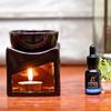 Aesthetic Living Blueberry Pure Essential Oil 15 ml, Pure Steam distilled Natural Essential Oil view 4