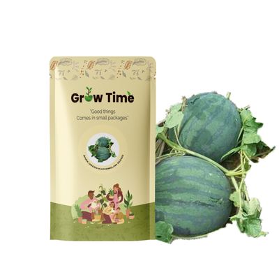 Growtime Dark Green Round Watermelon Vegetable Seeds, Vegetable Seeds for Home Gardening, Vegetable Planting Seeds for Kitchen, Dark Green Round Watermelon Seeds (Pack of 2g)