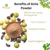 Bionest Herbals Amla Powder - 800 gm| Indian Gooseberry | Amalaki | Nellikai | Amlaki | Vitamin C Rich | Hair, Skin & Digestion Support | 100% Natural view 3