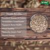 24 NUTS Handcrafted, Artisanal, Exotic Flavor - Ideal for Health-Conscious Foodies Sunflower Seeds (180g) view 4