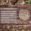 24 NUTS Handcrafted, Artisanal, Exotic Flavor - Ideal for Health-Conscious Foodies Sunflower Seeds (325g) view 4