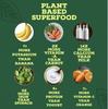 100% Organic And Premium Moringa Powder, Pure Natural Superfood view 2