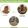 Heaven Gate Edible Van Tulsi Seeds (Vana Tulsi Beej, Mahabeera Seeds) | Sabja Seed | Nutritious Seeds for Wellness, Perfect for Detox Drinks, Herbal Remedies, and Enhancing Overall Health (250 GM) view 3