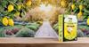 Eteasy LEMON JUICE powder Rich In Vitamin C, Immunity Booster Candy Cooking Baking No Artificial Preservatives Colours Powder 400 gms view 2