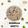 Gaurveda Boswellia Serrata - Shallaki Gum - Gond Kondru (250 Grams) view 3