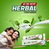 Cavigoo Herbal Tooth Paste(100 g) (Pack Of 6) view 2
