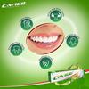 Cavigoo Herbal Tooth Paste(100 g) (Pack Of 6) view 4
