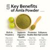 Ayurvedix Organic Amla Powder | Indian Gooseberry Powder (Malanelli, Amalakkamu, Usirikai) | No Added Preservatives | Ideal for Hair, Skin, Drinking & Eating | Gastric Comfort | 200g Each Pack of 3 view 3