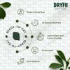 Dryfii Ready-to-Eat Instant Jain Idli Sambhar | Pure Veg | Freeze Dried | No Onion, No Garlic | Rehydrated Weight 460 g view 4
