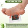 Adbeni Detox Foot Pads (10 Pads x 2) | for Cleansing & Relaxation | Premium Toxin Remover Patches for Sleep, Stress Relief & Wellness | Herbal Detoxification for Men & Women | Foot Care Solution view 4