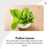 Bilvam Herbals | Pudina Saunf Tulasi Capsules  120N | Veg Capsules | Ayurvedic Digestive Support | With Mint, Fennel & Tulasi for Gut Wellness & Pitta Balance view 2