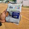 1000 Tonnes Millet 5Kg - Combo Pack of 10 (EXPORT QUALITY) | Natural Grains | Boiled Kodo Millet 1Kg, Boiled Barnyard Millet 1 Kg, Boiled Little Millet1 Kg, Unpolished Pearl Millet1 Kg, Unpolished Finger Millet 1 Kg | Low GI Native Rice | High Protei view 4