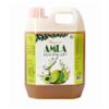 Dhanvi Amla Syrup Sharbat - Refreshing & Flavorful Awla Drink | Refreshing Gooseberry Drink with Ginger for a Unique Taste | Rich in Vitamin C | Extra Refreshment | Amla Ginger Syrup - 1 Litre view 1