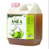 Dhanvi Amla Syrup Sharbat - Refreshing & Flavorful Awla Drink | Refreshing Gooseberry Drink with Ginger for a Unique Taste | Rich in Vitamin C | Extra Refreshment | Amla Ginger Syrup - 1 Litre view 2