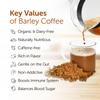 Satopradhan Organic Barley Coffee 100g - 100% Caffeine-Free Instant Coffee Alternative - Made with Roasted Ground Barley Kernels - Pure, Vegan and plant-based view 3