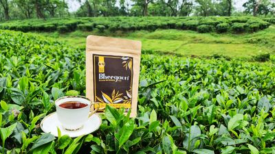 Assam Orthodox Tea