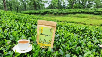 Assam CTC Black Tea