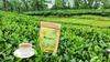 Assam CTC Black Tea view 1