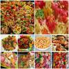 Aplenty Fryums Papad FAR-FAR Ready To Fry Snack Pellets | Imported Fryums | Multicolour (20 in 1) Mix Imported Fryum Pack | Assorted Fryums (400g, Savory) view 3